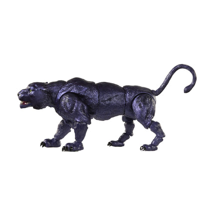 Masters of the Universe Masterverse New Eternia Panthor